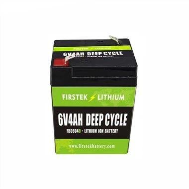 Deep Cycle 6V4AH LiFePO4 Battery